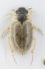 364502 – Photo : Tristan Maury-Caudal – France (49)